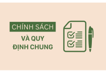 Chính sách và quy định chung